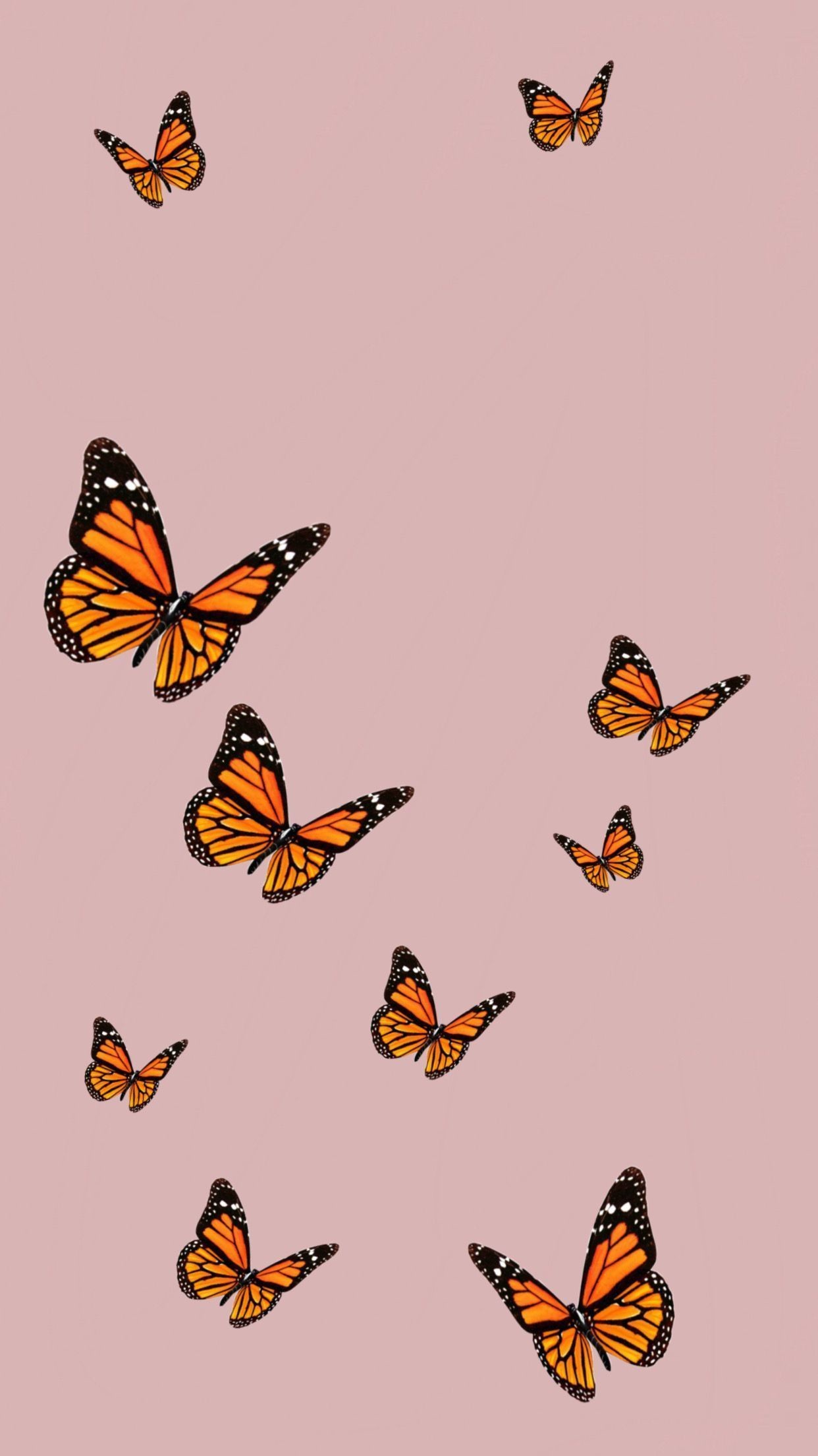 Cute Aesthetic Pink Butterfly Wallpapers Wallpapers