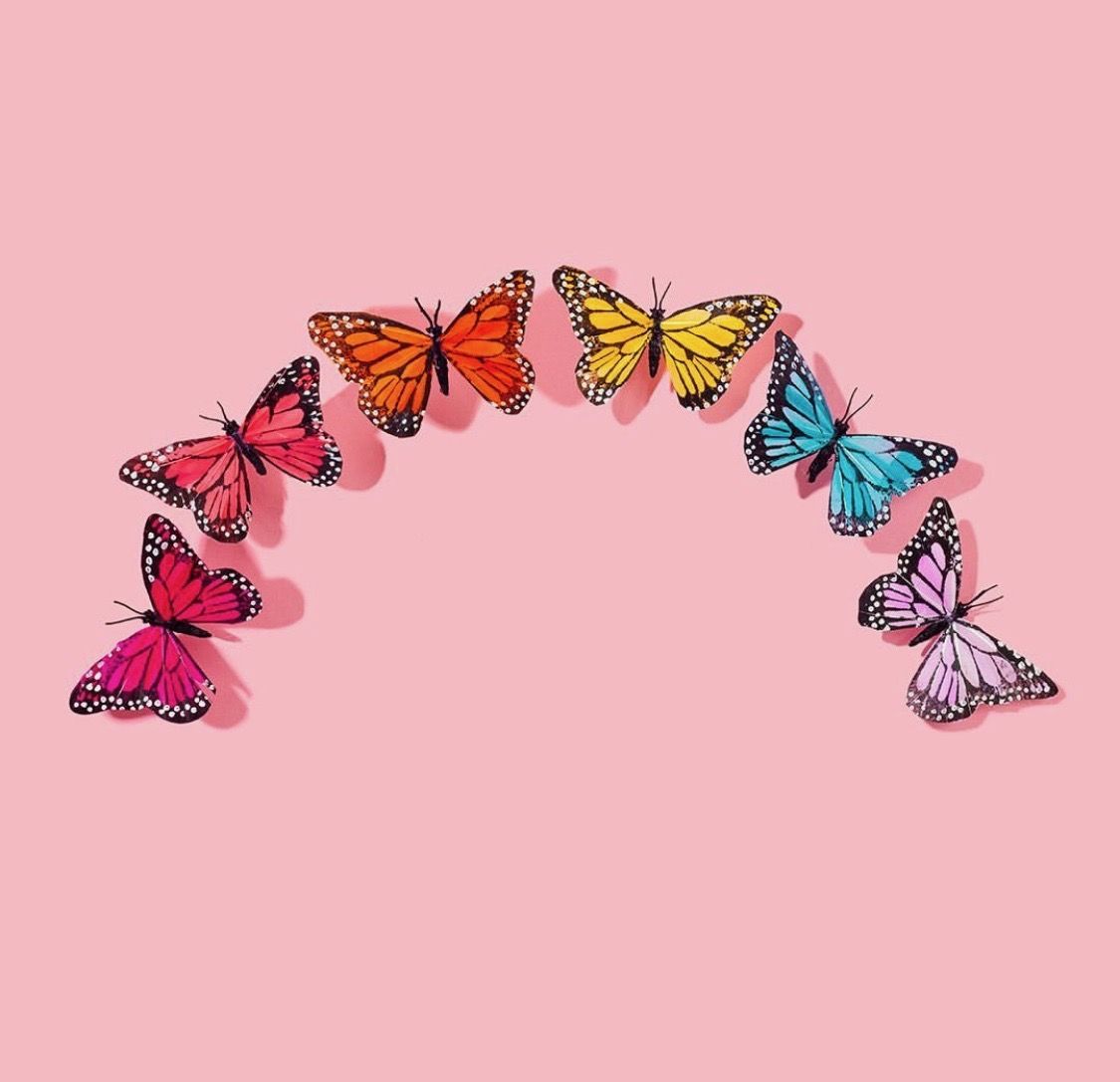 Cute Aesthetic Pink Butterfly Wallpapers Wallpapers