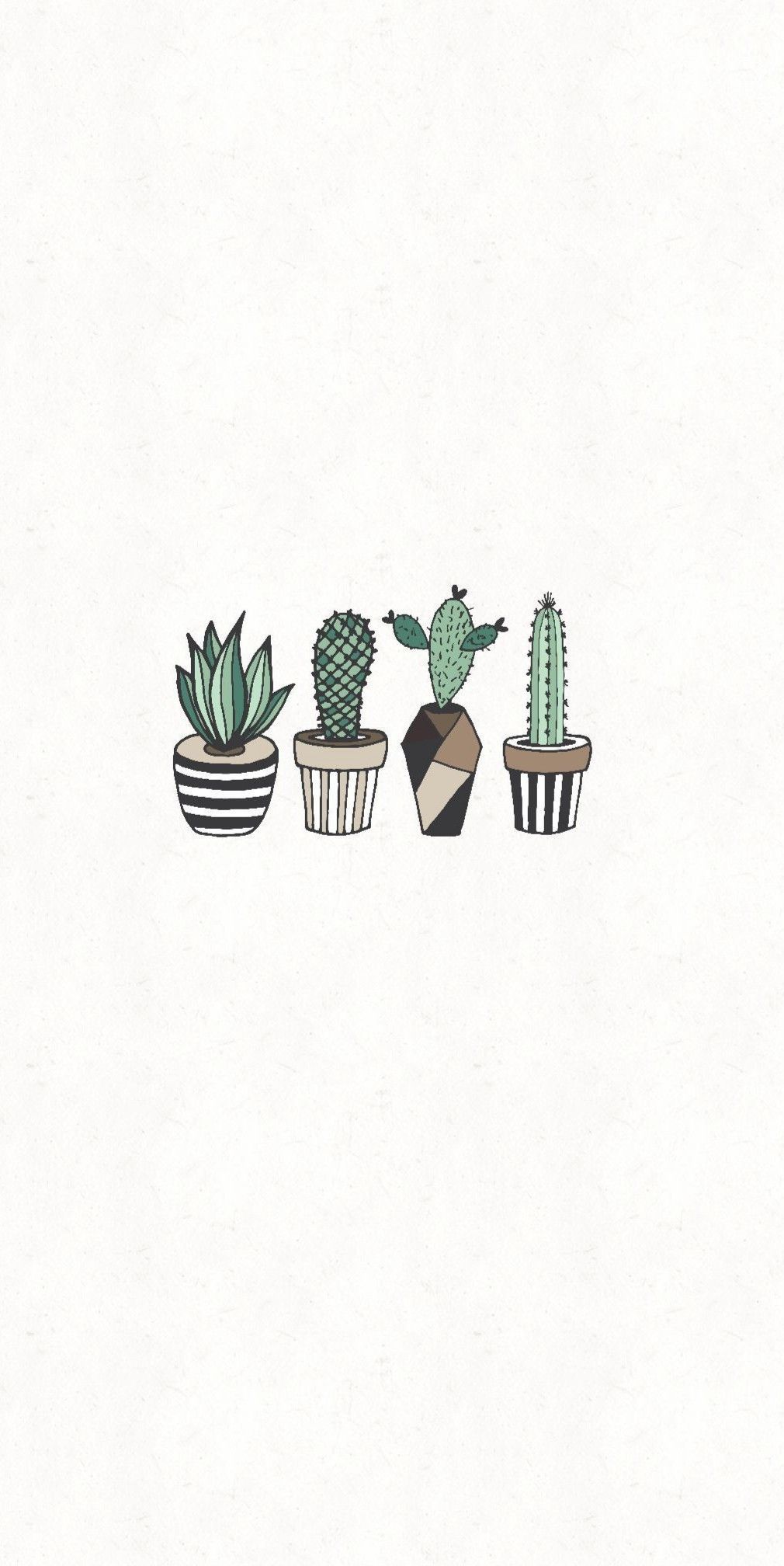 Cute Aesthetic Succulent Wallpapers