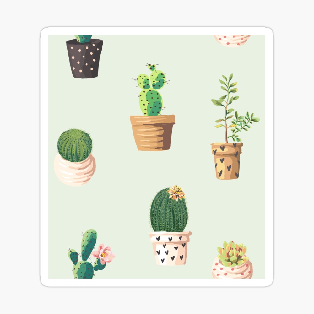 Cute Aesthetic Succulent Wallpapers