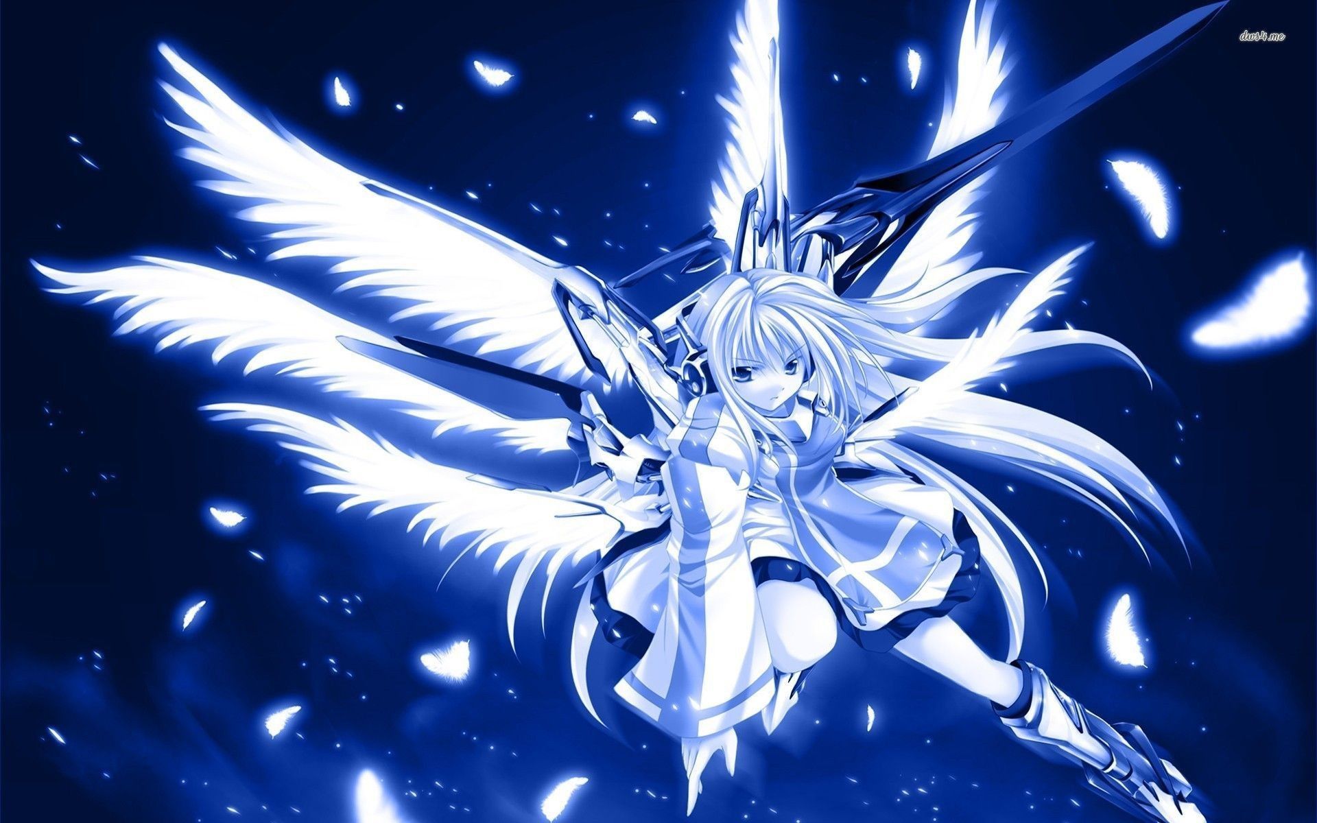 Cute Angel Anime Girl Wallpapers Wallpapers