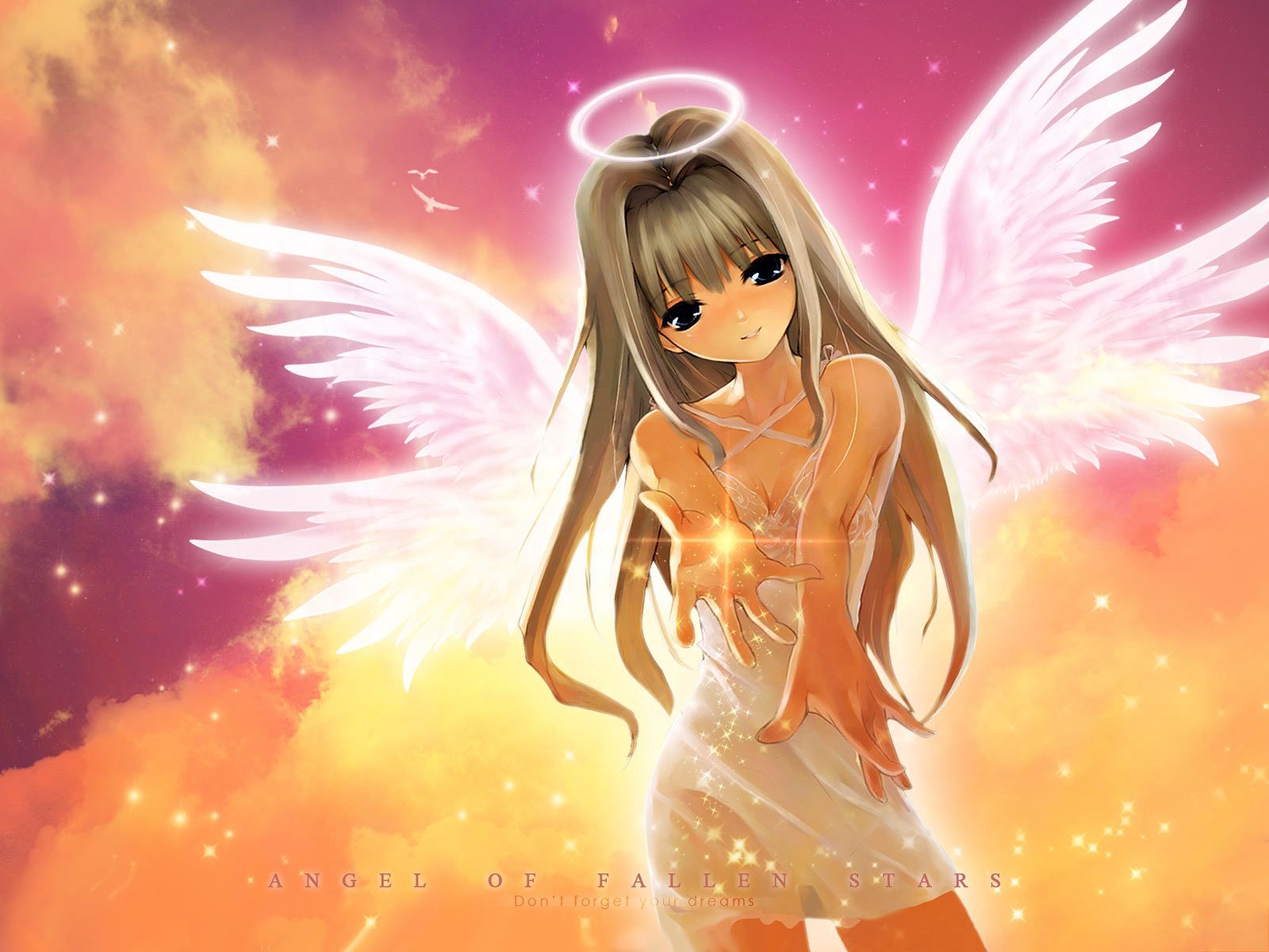 Cute Angel Anime Girl Wallpapers Wallpapers