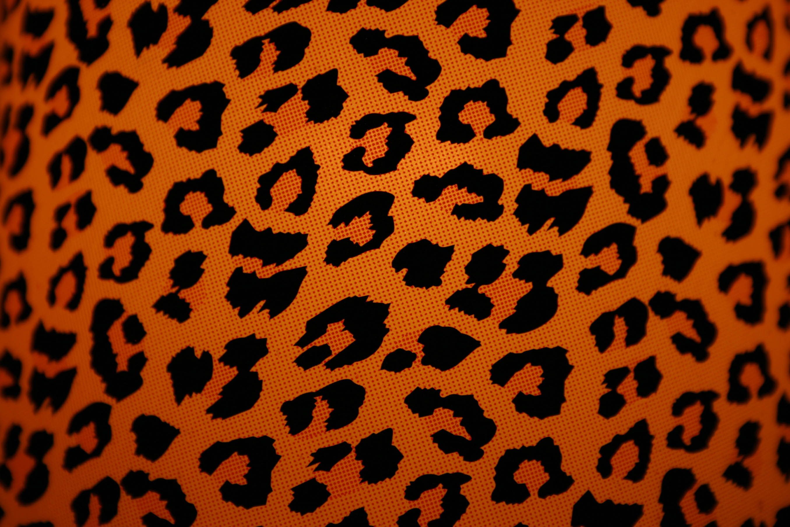 Cute Animal Print Wallpapers