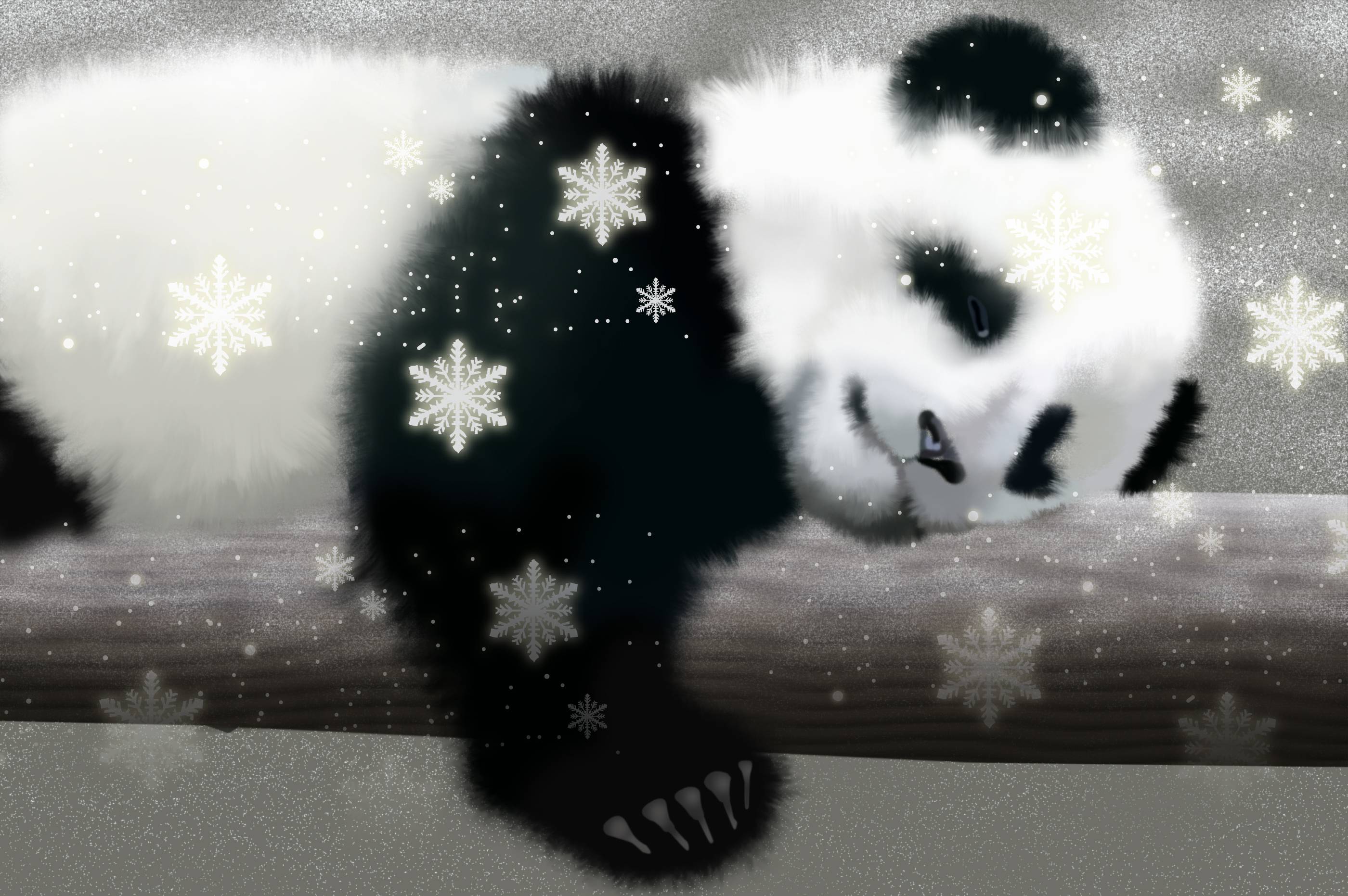 Cute Anime Panda Wallpapers