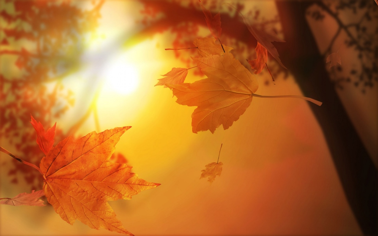 Cute Autumn Wallpapers