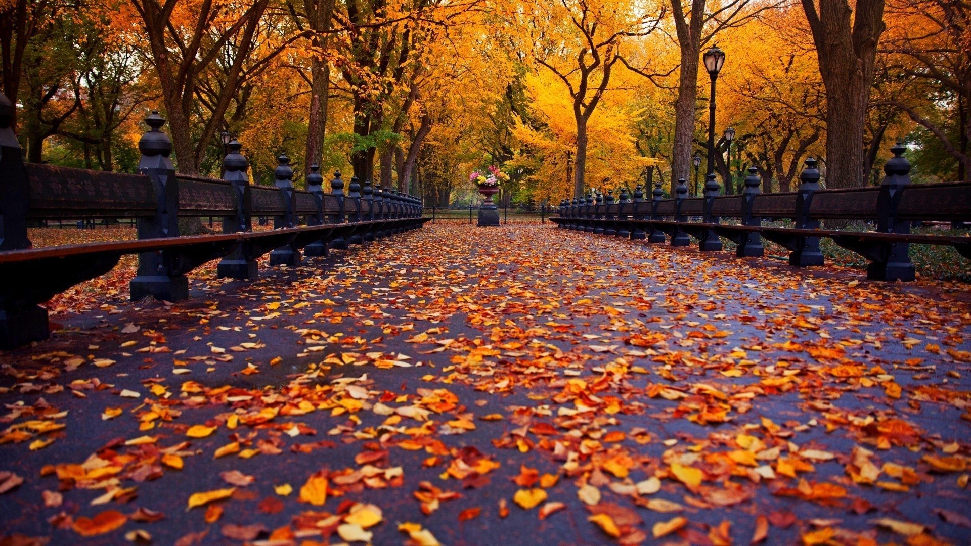 Cute Autumn Wallpapers