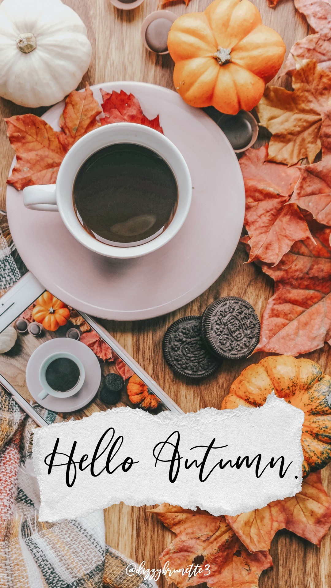 Cute Autumn Wallpapers