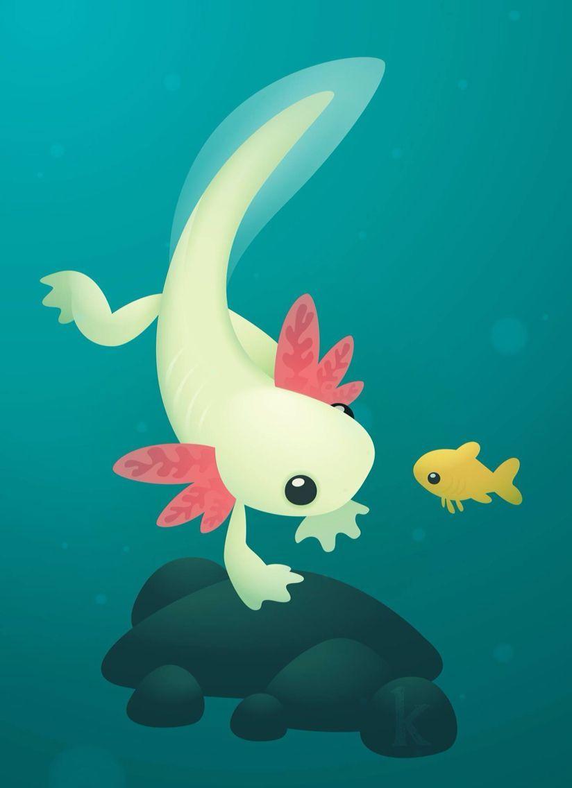 Cute Axolotl Wallpapers Wallpapers