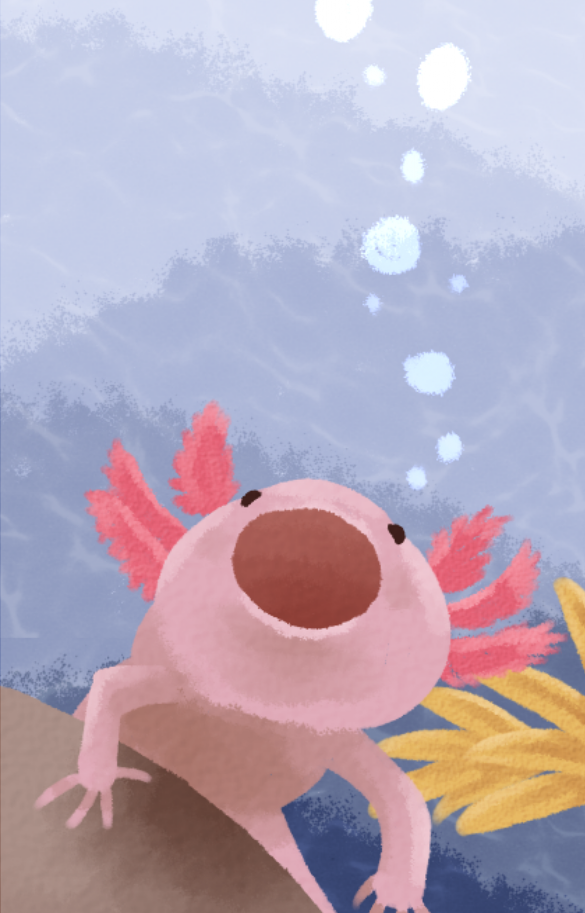 Cute Axolotl Wallpapers Wallpapers