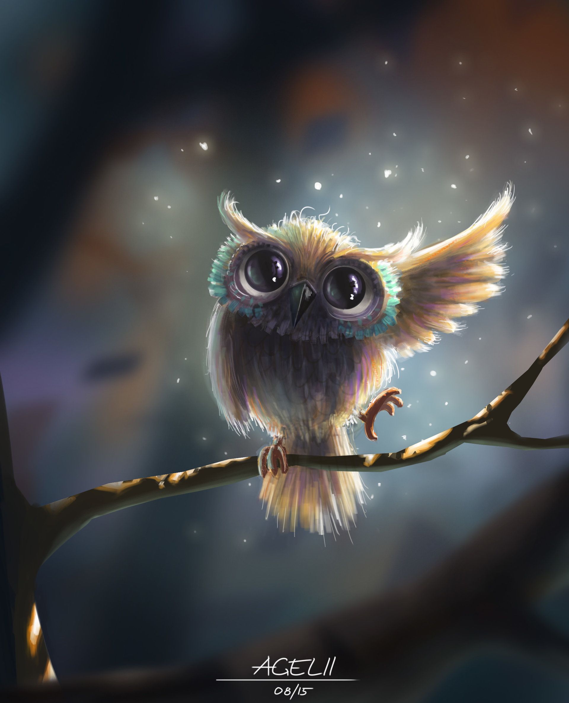 Cute Baby Owl Wallpapers