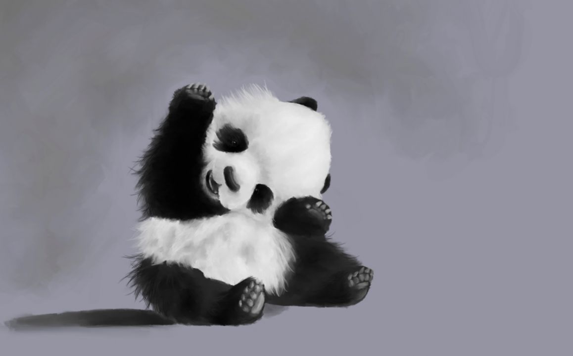 Cute Baby Panda Wallpaper Wallpapers