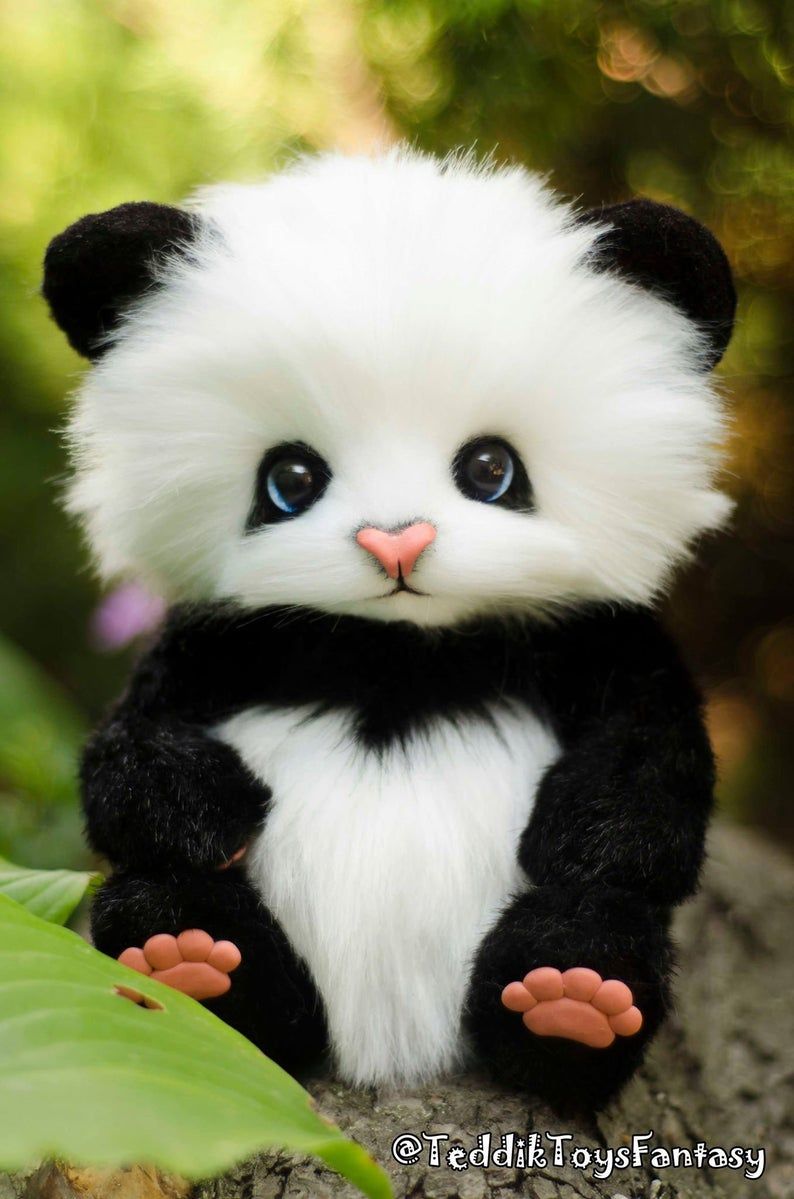 Cute Baby Panda Wallpaper Wallpapers