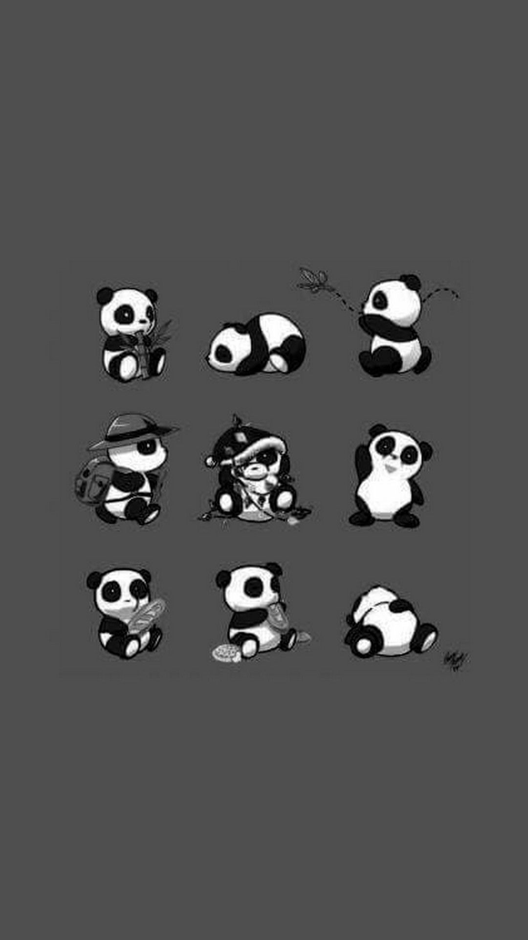 Cute Baby Panda Wallpaper Wallpapers