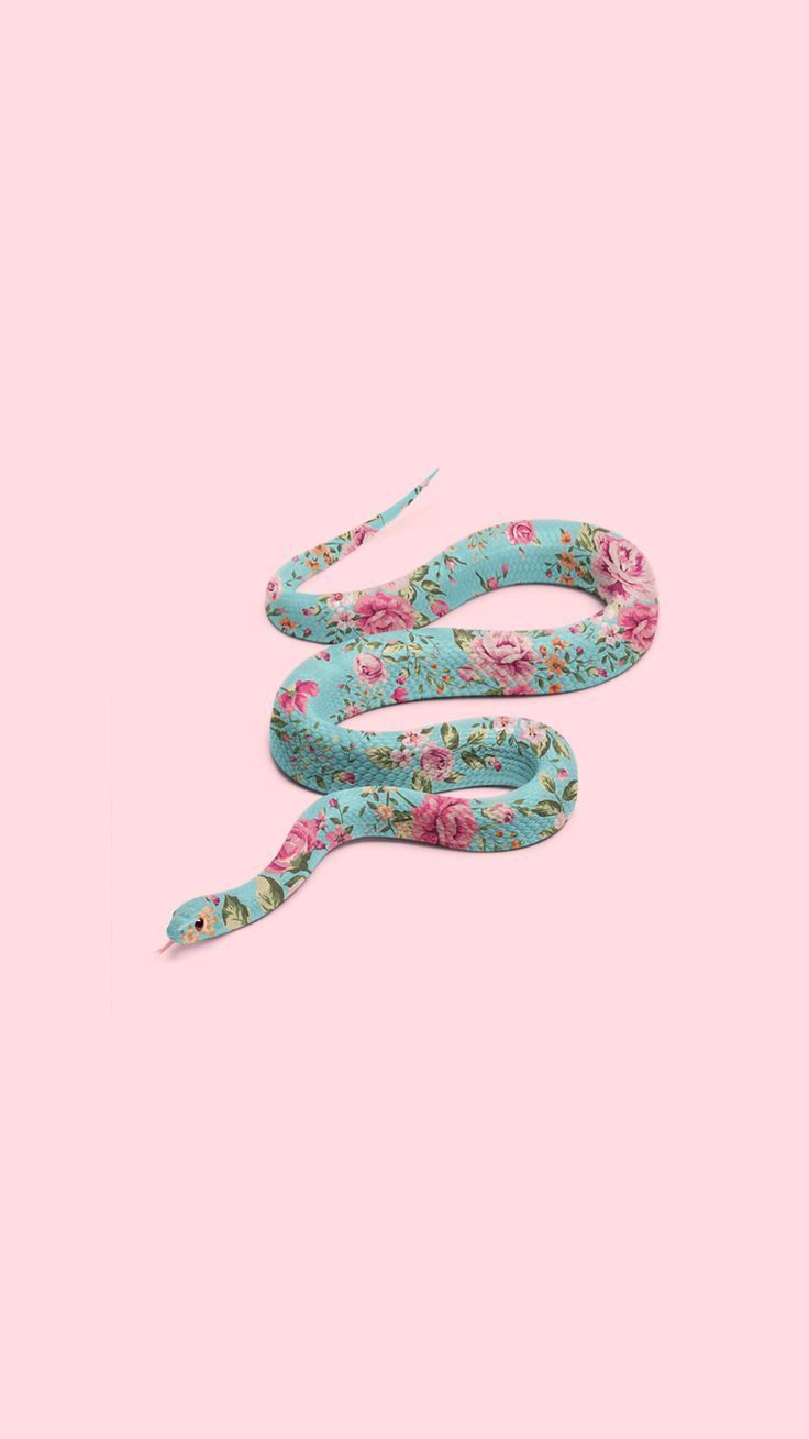 Cute Baby Snake Wallpapers