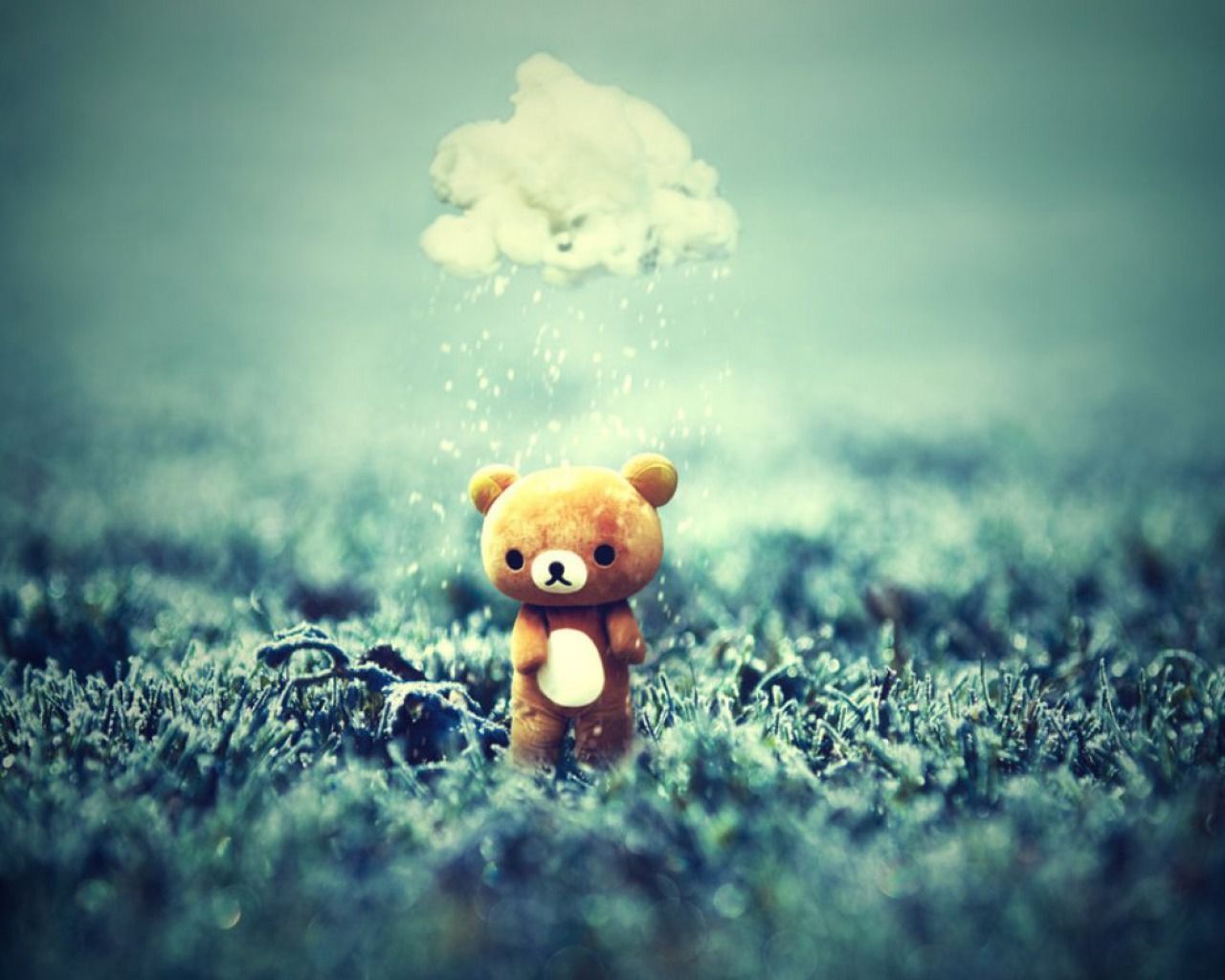 Cute Bear Wallpapers