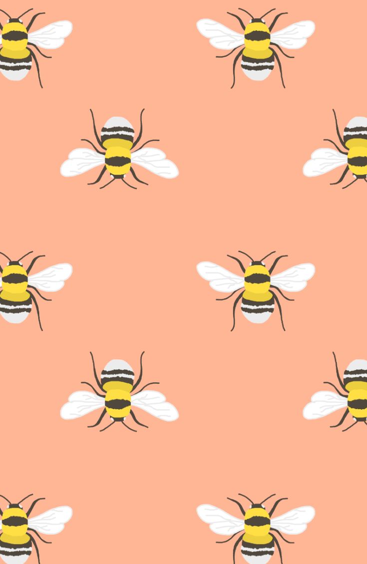 Cute Bee Desktop Wallpapers