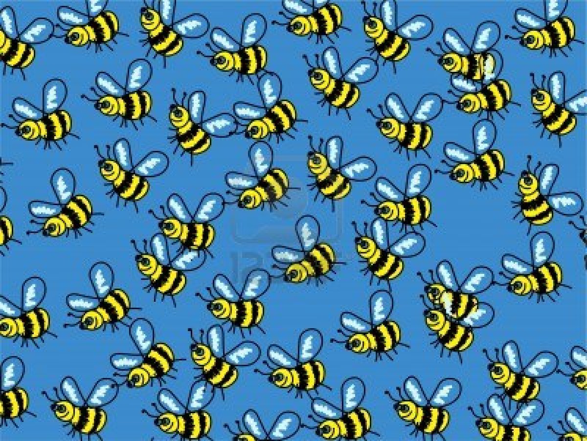 Cute Bee Desktop Wallpapers