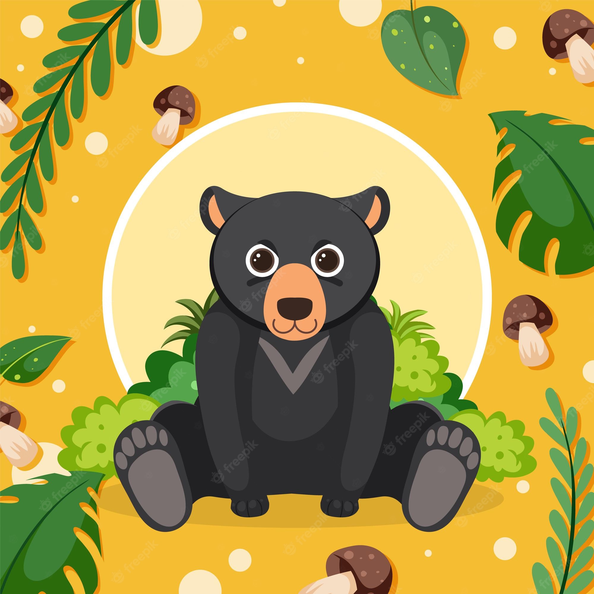 Cute Black Bear Hd Wallpapers