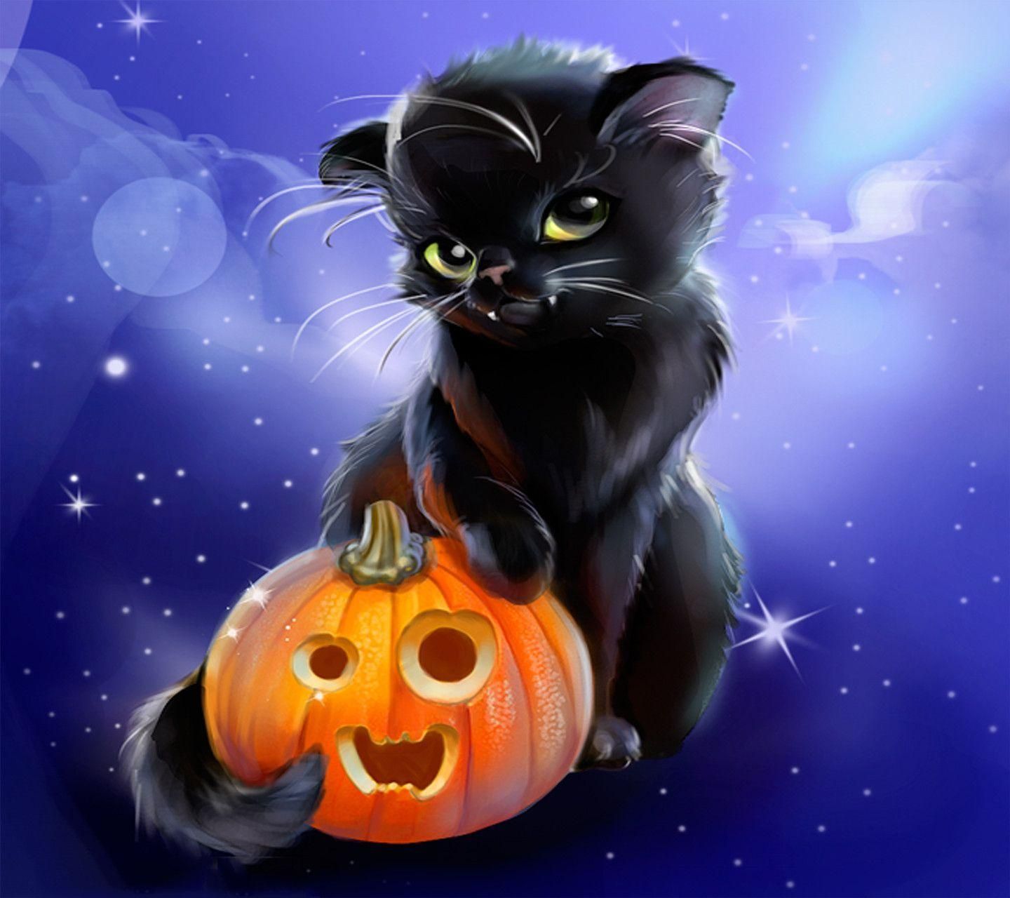 Cute Black Cat Halloween Wallpapers