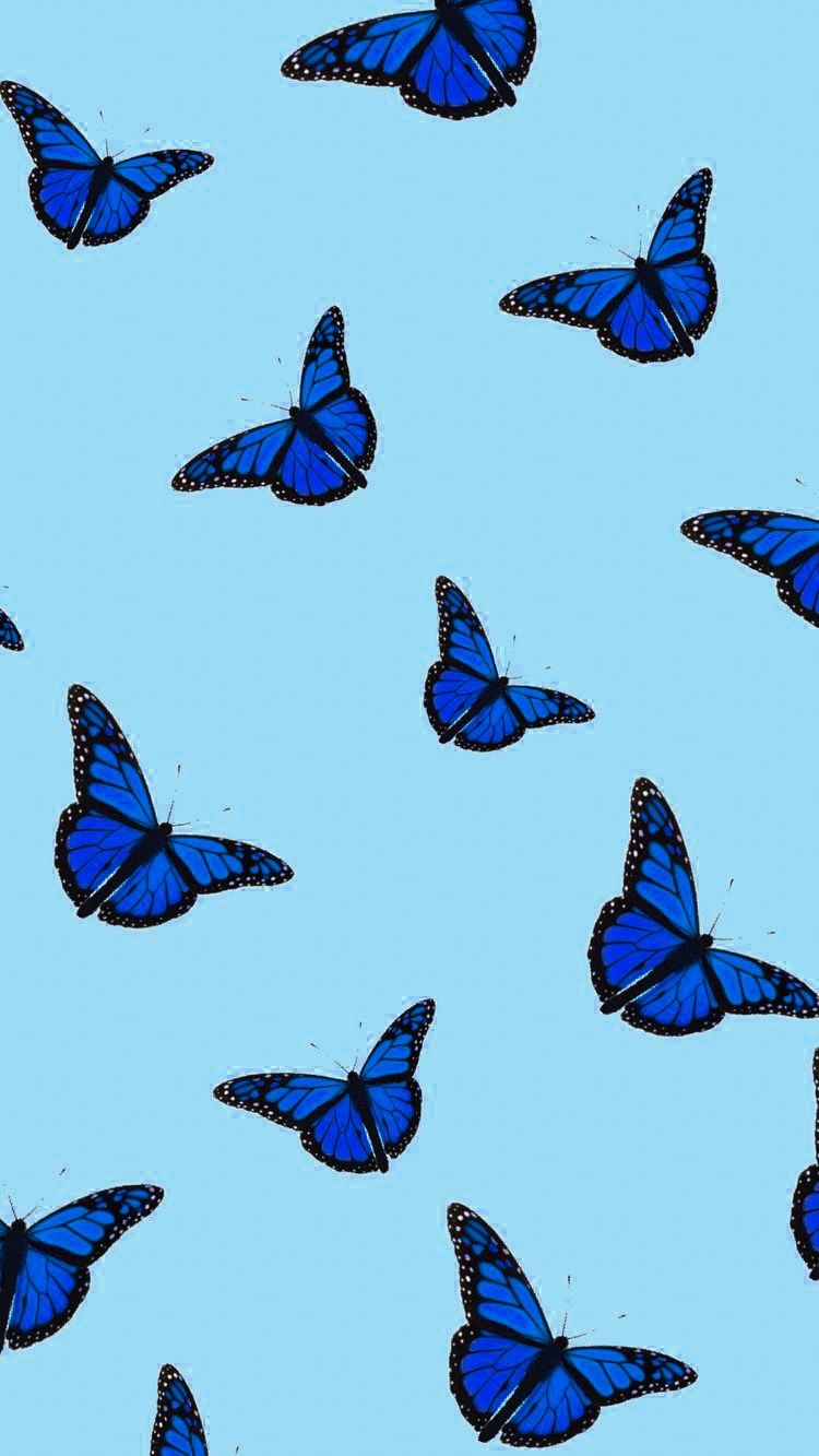 Cute Blue Aesthetic Wallpapers