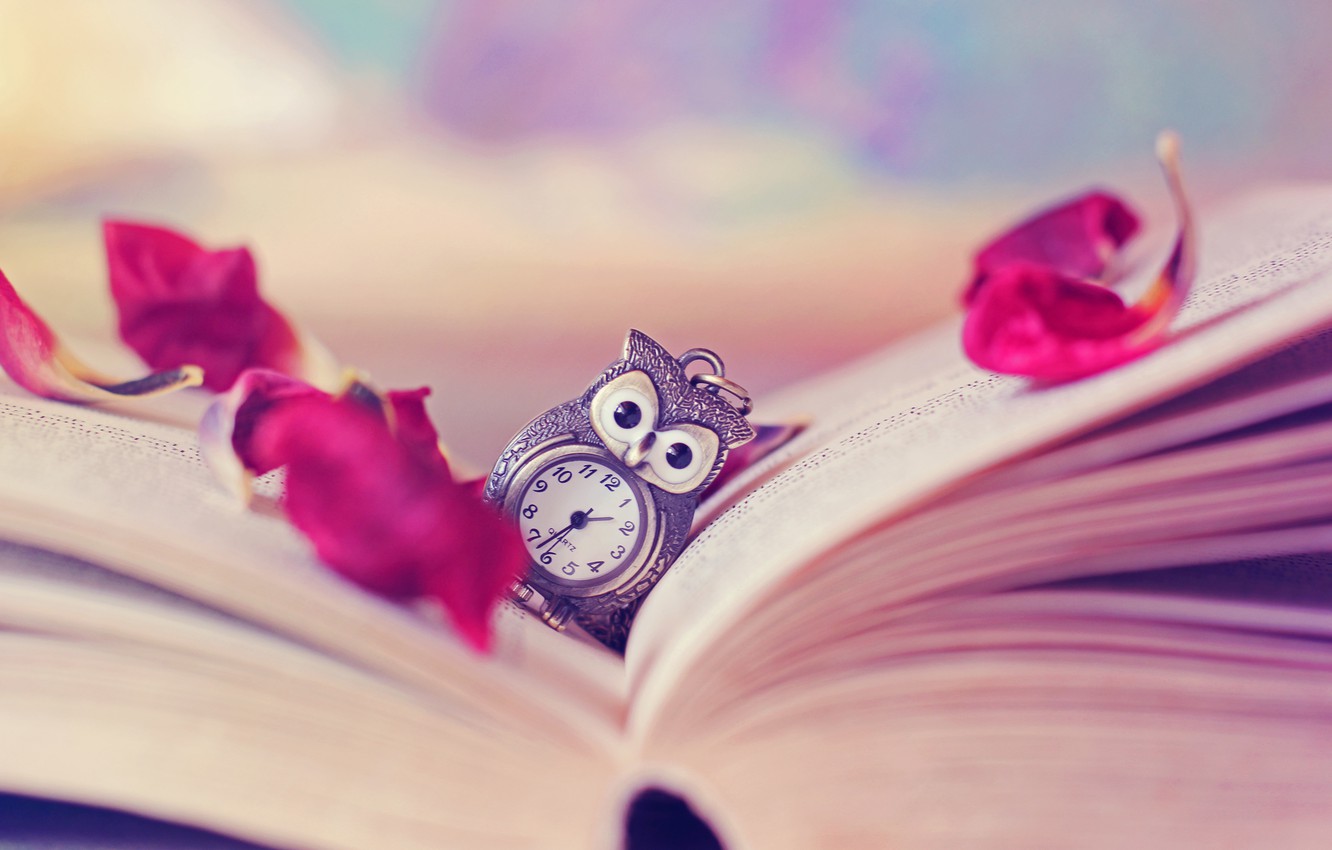 Cute Book Wallpapers