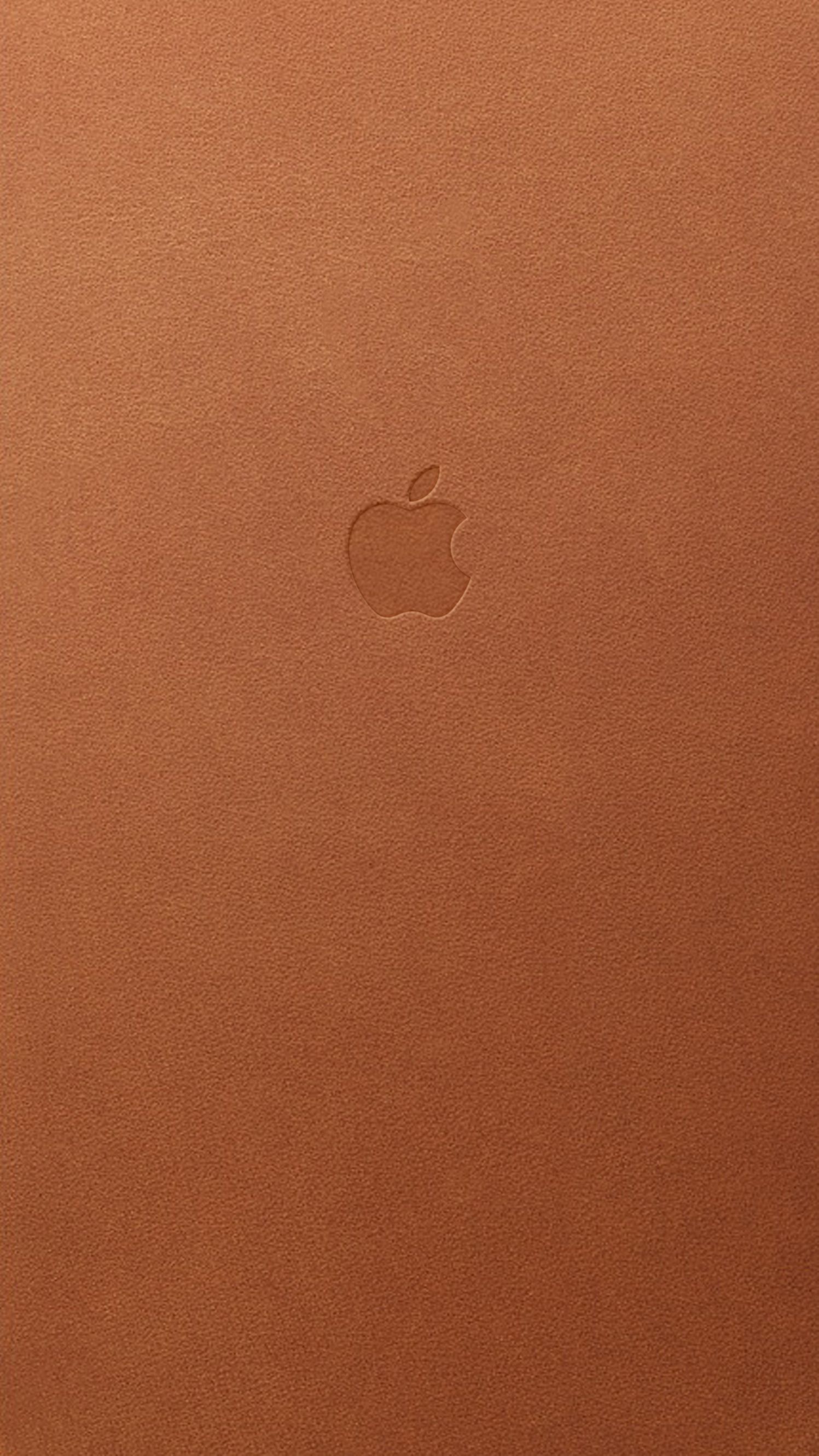 Cute Brown Iphone Wallpapers