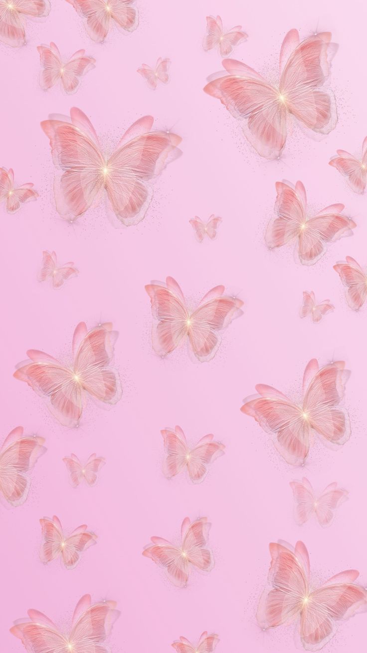 Cute Butterfly Baby Pink Wallpapers Wallpapers