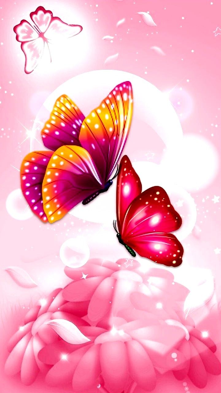 Cute Butterfly Baby Pink Wallpapers Wallpapers