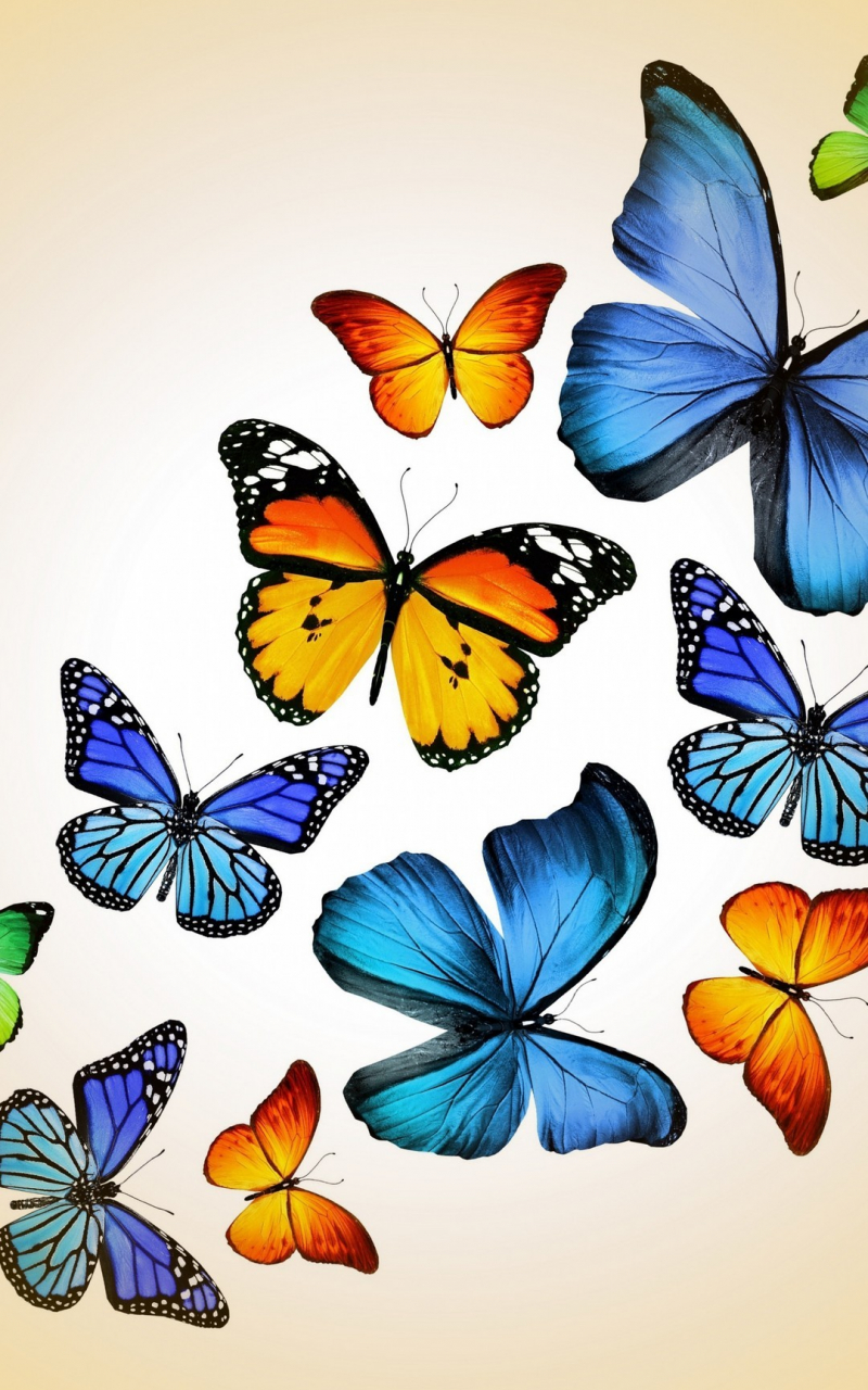 Cute Butterfly Wallpapers For Mobile Phones Wallpapers