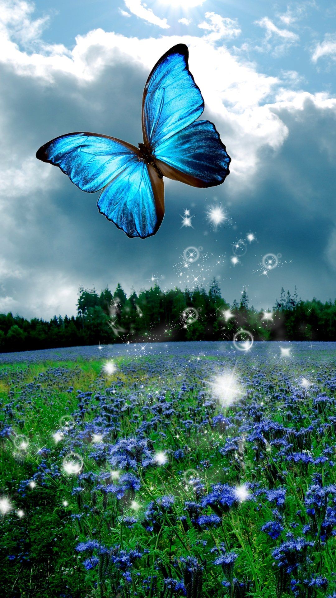 Cute Butterfly Wallpapers For Mobile Phones Wallpapers