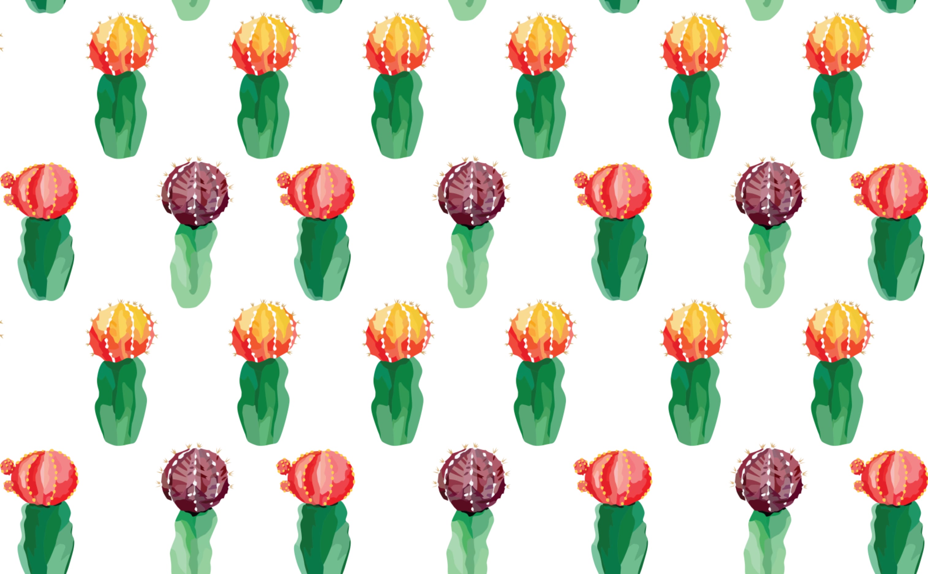 Cute Cactus Wallpapers