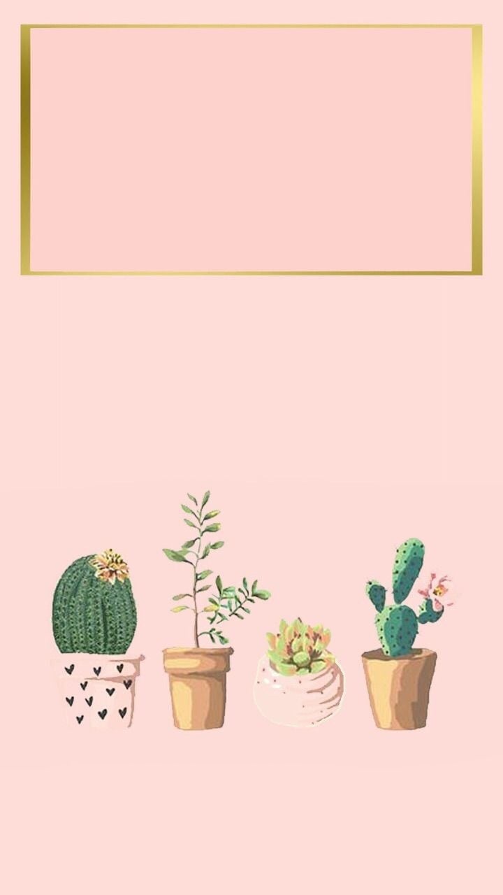 Cute Cactus Wallpapers Wallpapers