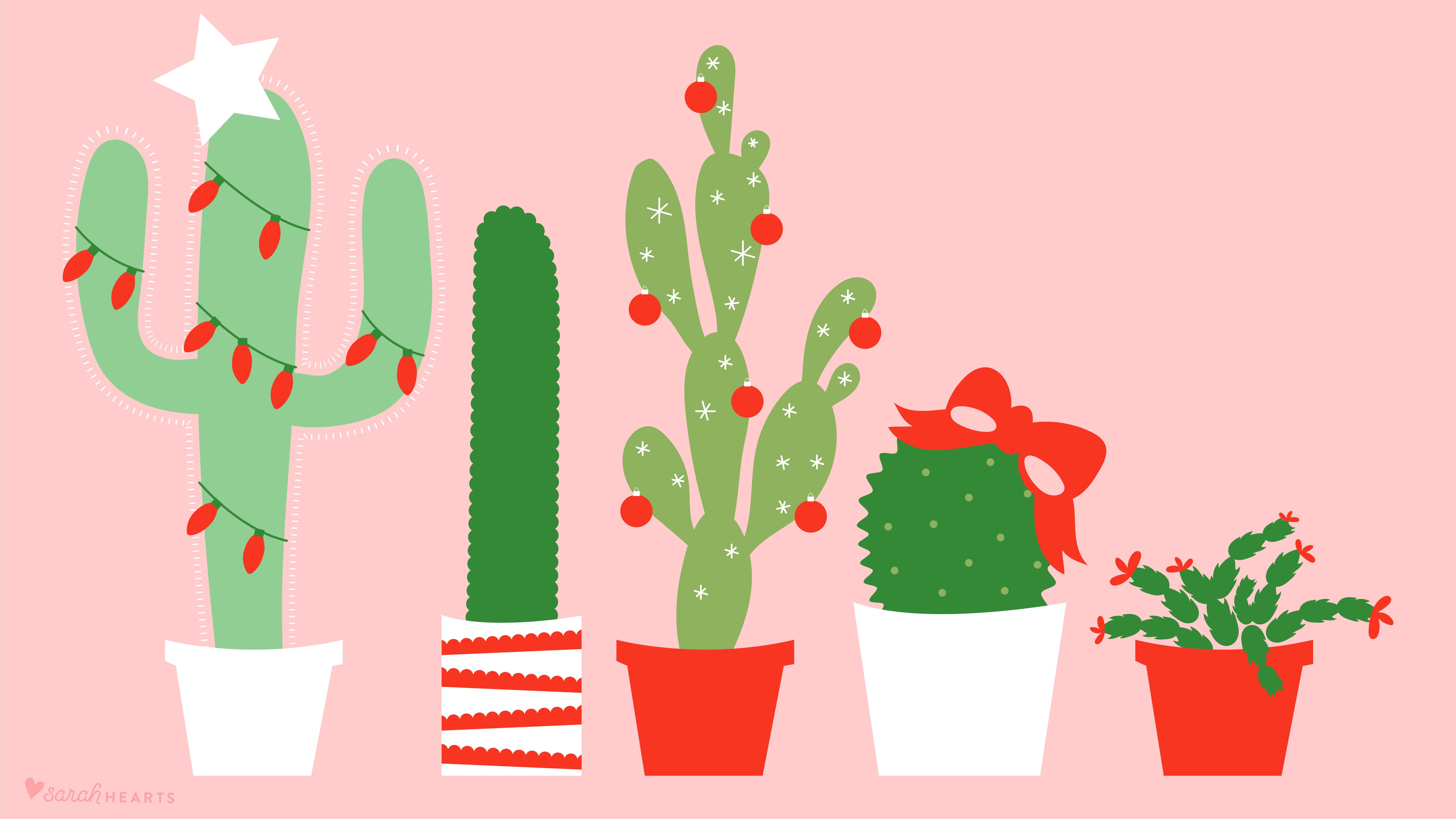 Cute Cactus Wallpapers Wallpapers