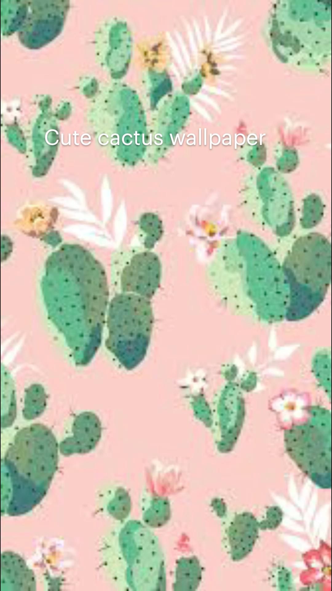 Cute Cactus Wallpapers Wallpapers