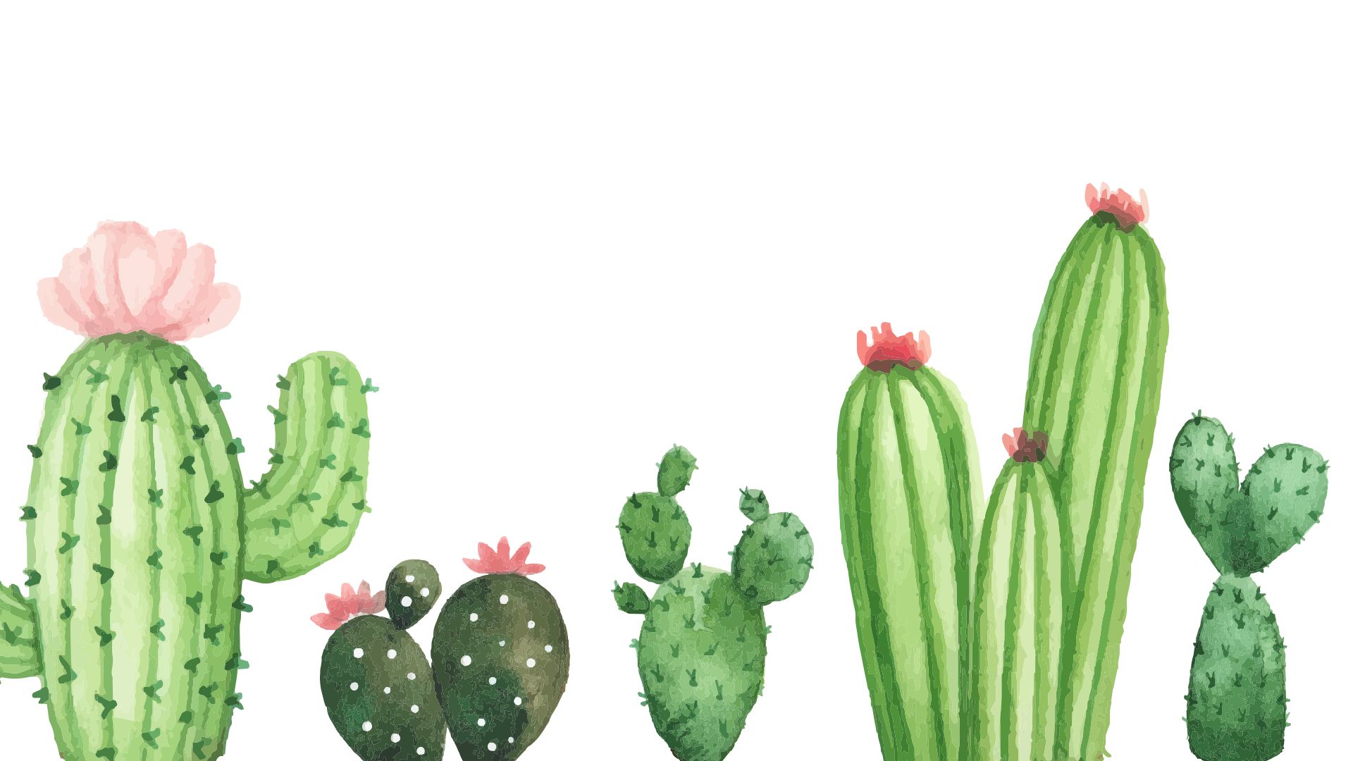 Cute Cactus Wallpapers Wallpapers