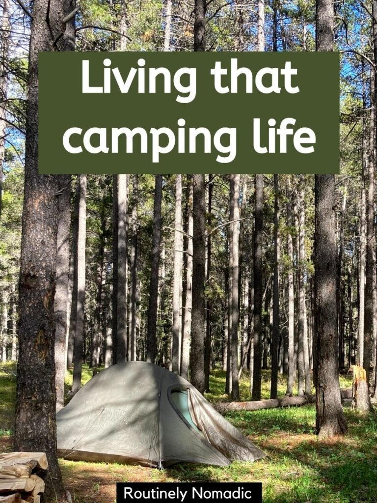 Cute Camping Wallpapers