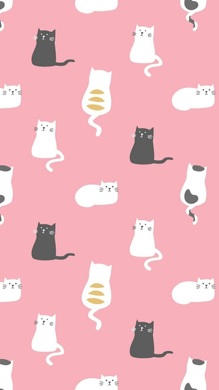 Cute Cartoon Cat Wallpapers