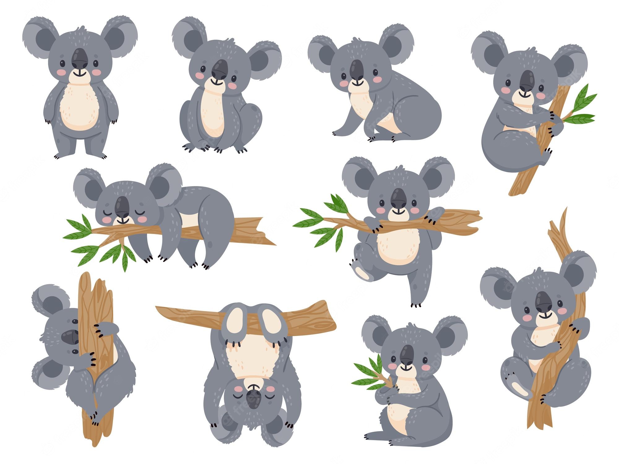 Cute Cartoon Koala Wallpapers