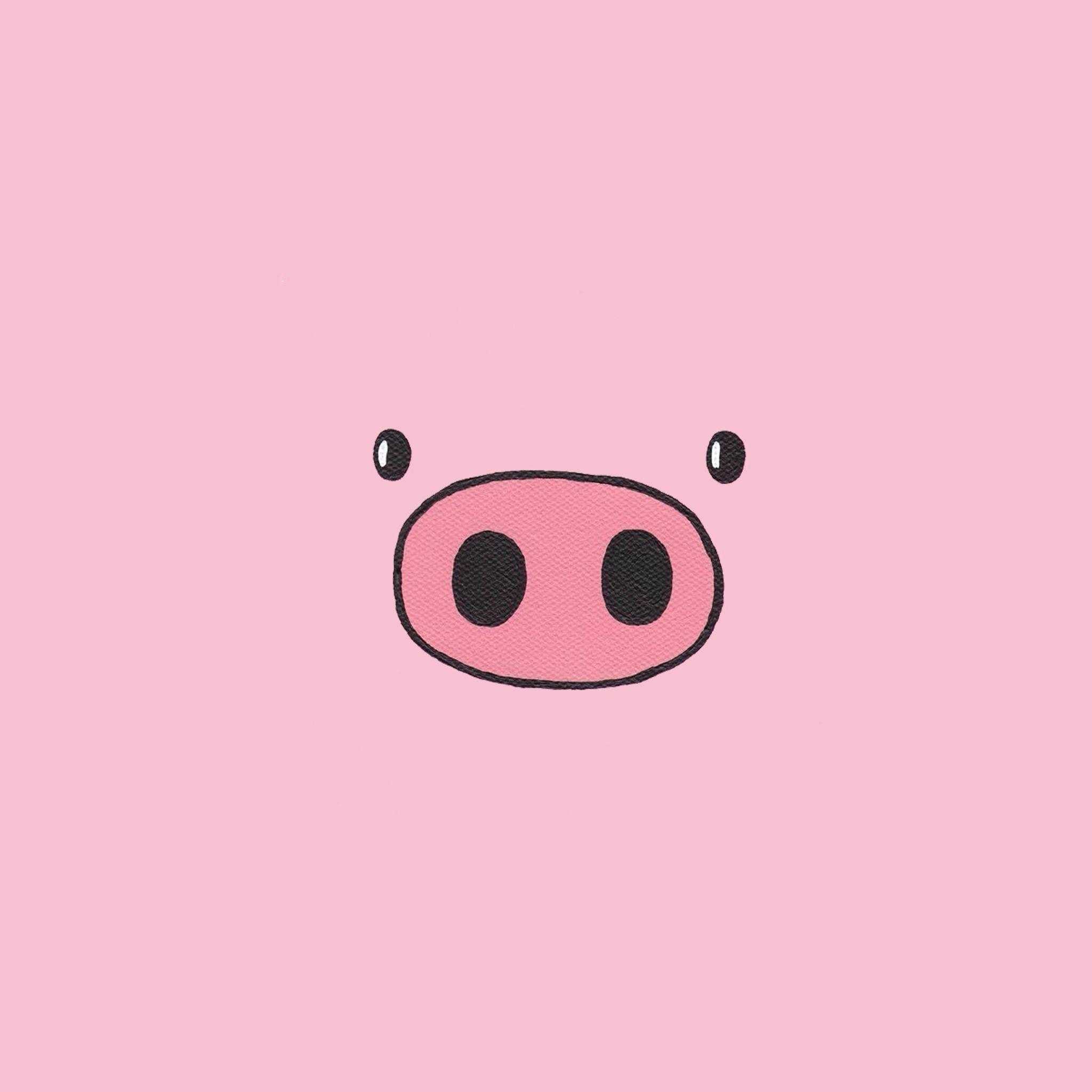 Cute Cartoon Pig Wallpapers