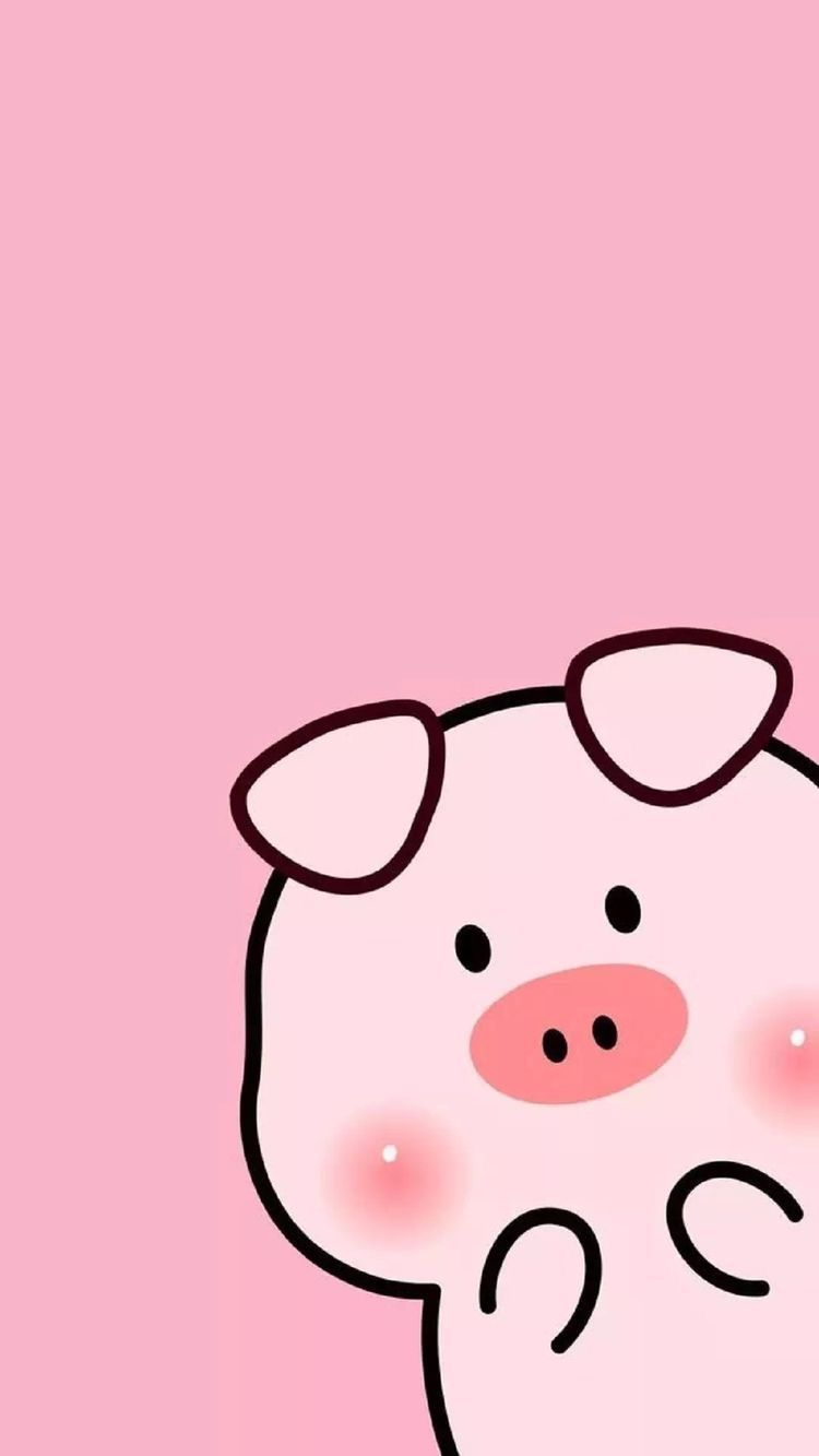 Cute Cartoon Pig Wallpapers