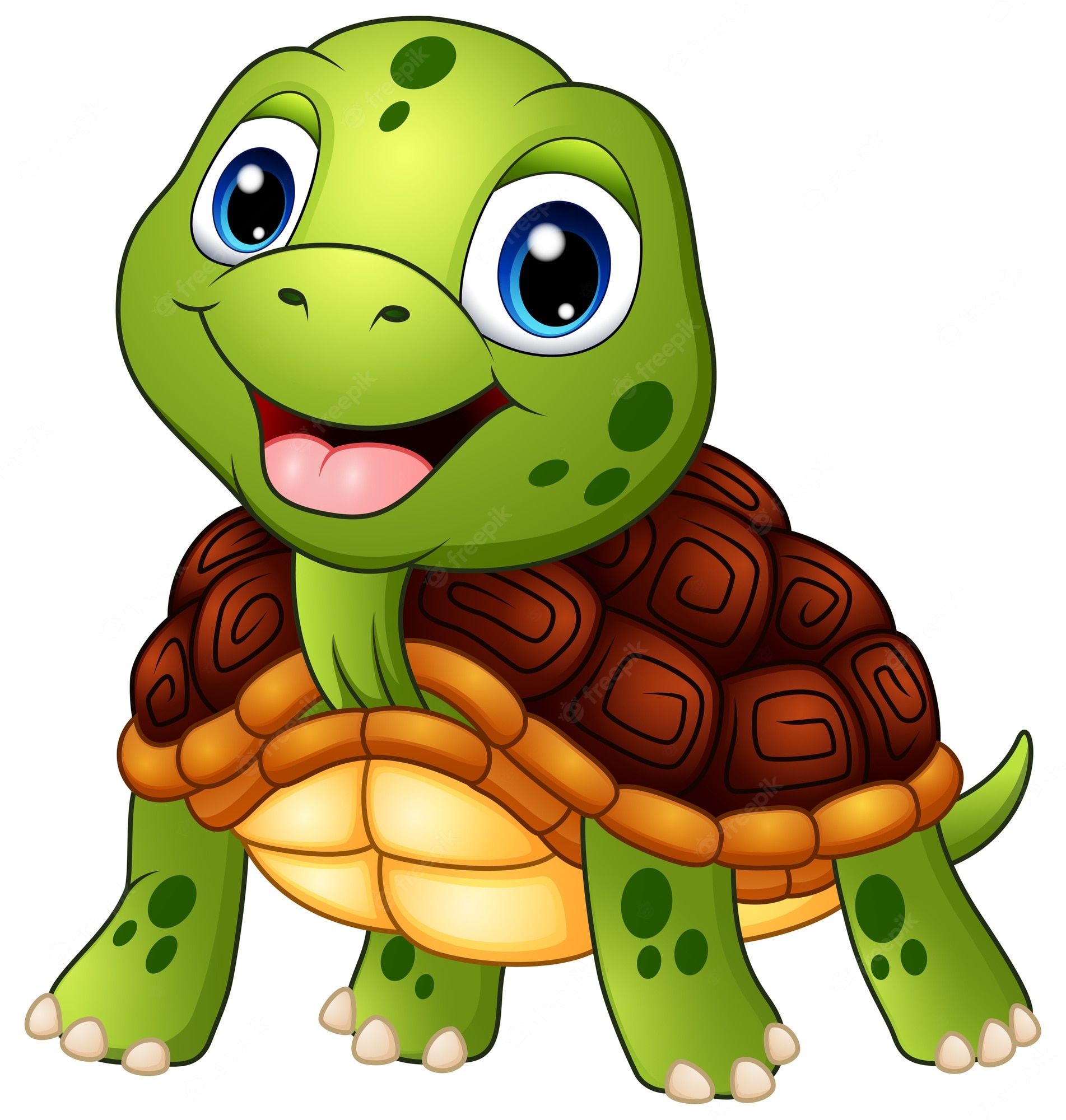 Cute Cartoon Turtle Wallpapers