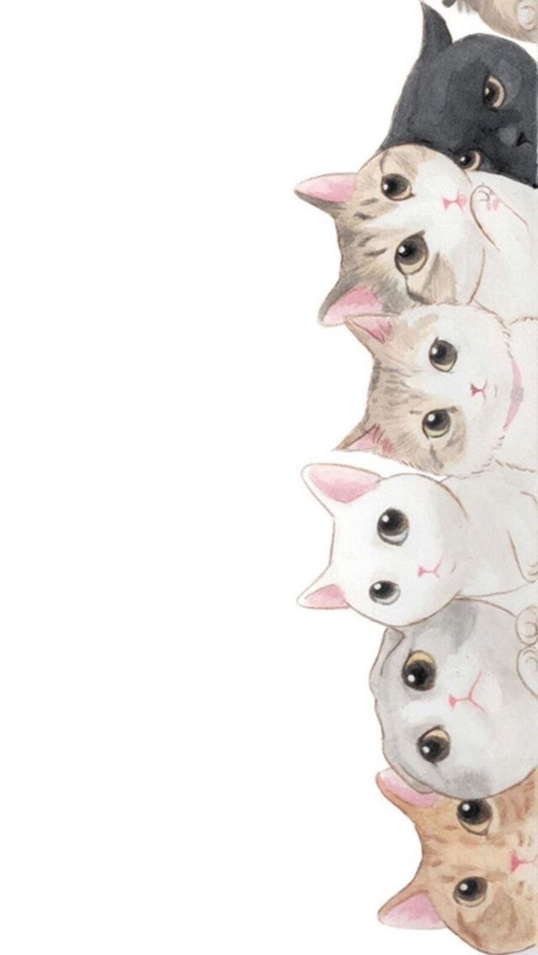 Cute Cat Aesthetic Wallpapers