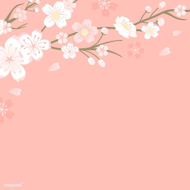 Cute Cherry Blossom Wallpapers