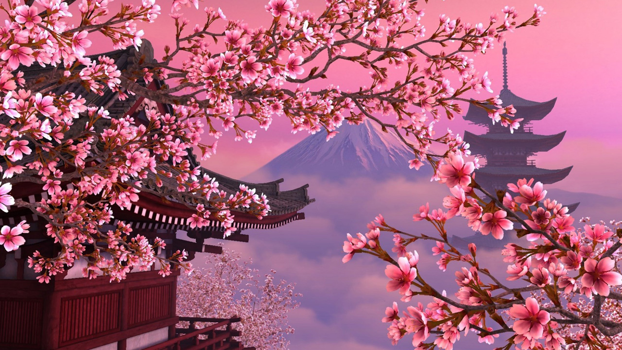 Cute Cherry Blossom Wallpapers