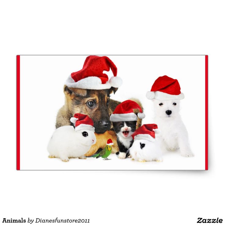 Cute Christmas Animal Wallpapers