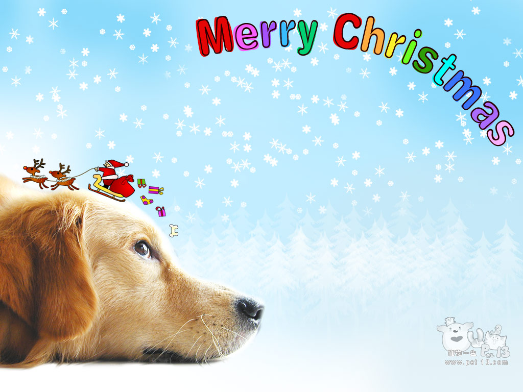 Cute Christmas Animal Wallpapers