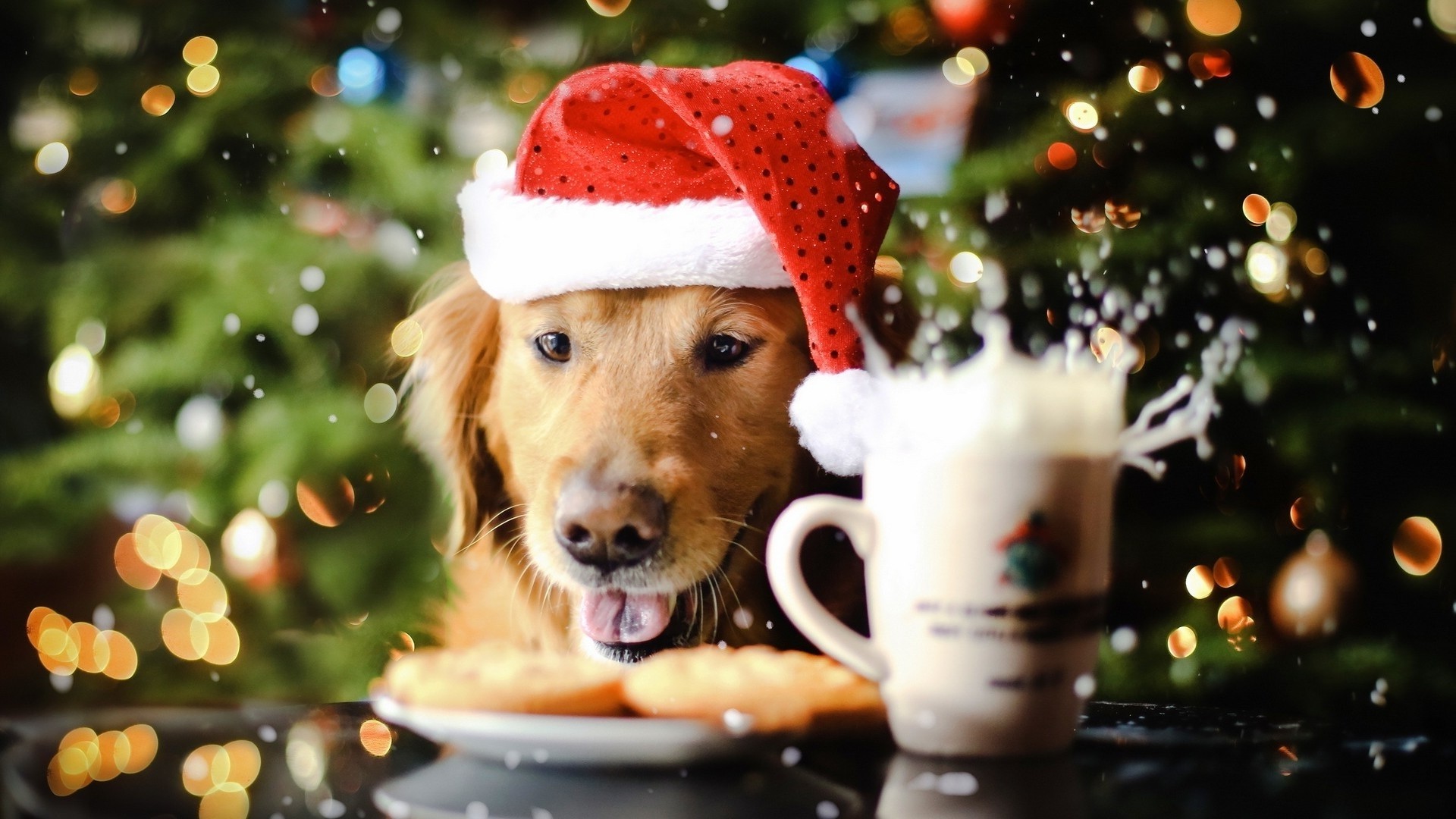 Cute Christmas Puppy Wallpapers Wallpapers