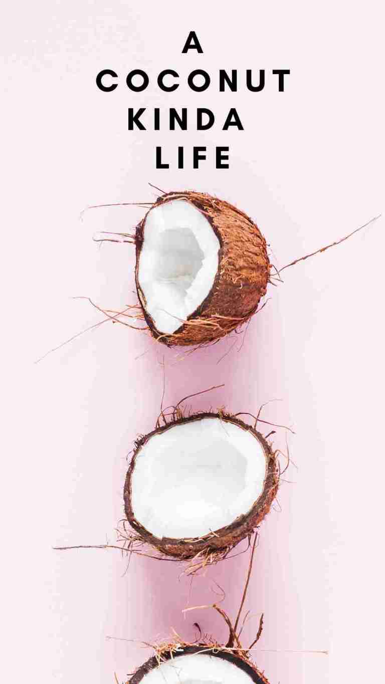 Cute Coconut Wallpapers