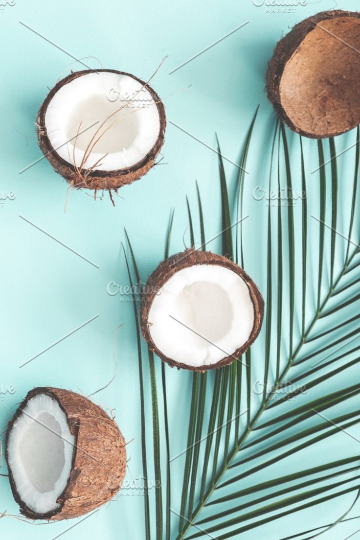 Cute Coconut Wallpapers