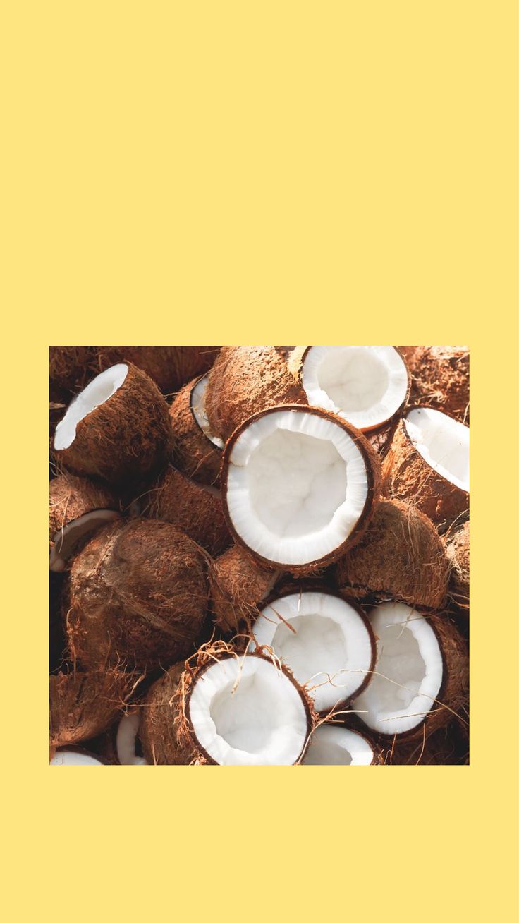 Cute Coconut Wallpapers